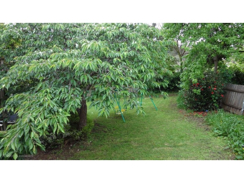 7 Benjamin Street, Trevallyn TAS 7250