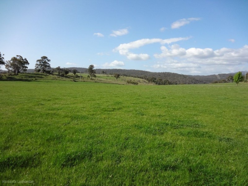 Lot 1/40496 Drivers Run, Tasman Highway, St Leonards TAS 7250