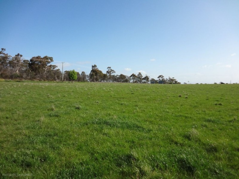 Lot 1/40496 Drivers Run, Tasman Highway, St Leonards TAS 7250