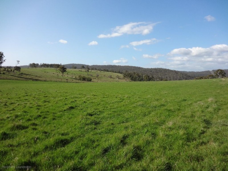 Lot 3/40496 Drivers Run, Tasman Highway, St Leonards TAS 7250