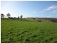 Lot 3/40496 Drivers Run, Tasman Highway, St Leonards TAS 7250