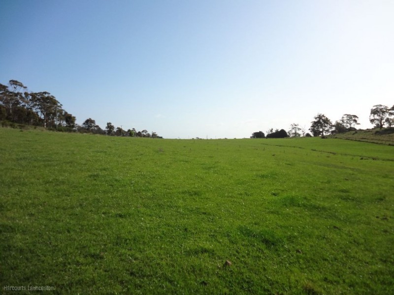 Lot 3/40496 Drivers Run, Tasman Highway, St Leonards TAS 7250