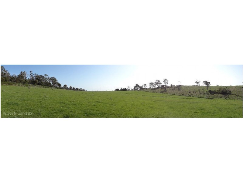 Lot 3/40496 Drivers Run, Tasman Highway, St Leonards TAS 7250