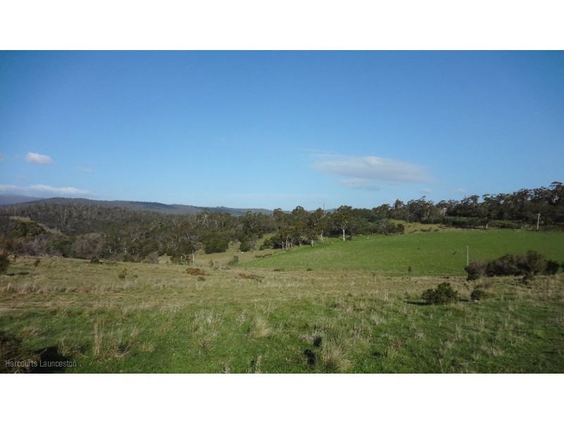 Lot 7/40496 Drivers Run, Tasman Highway, St Leonards TAS 7250