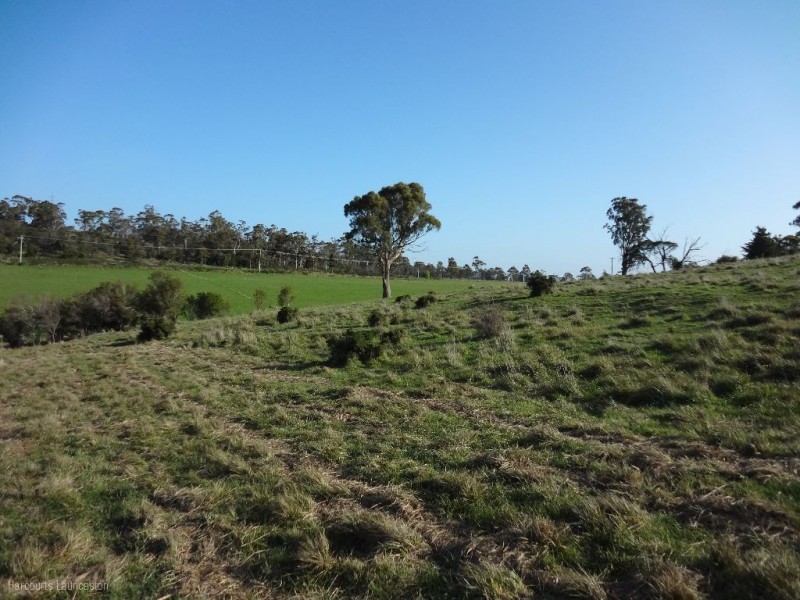 Lot 7/40496 Drivers Run, Tasman Highway, St Leonards TAS 7250