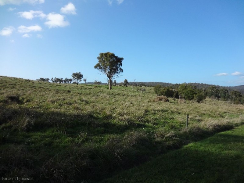 Lot 7/40496 Drivers Run, Tasman Highway, St Leonards TAS 7250