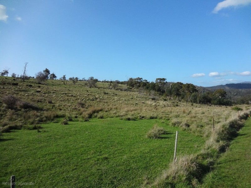 Lot 9/40496 Drivers Run, Tasman Highway, St Leonards TAS 7250