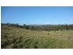 Lot 9/40496 Drivers Run, Tasman Highway, St Leonards TAS 7250