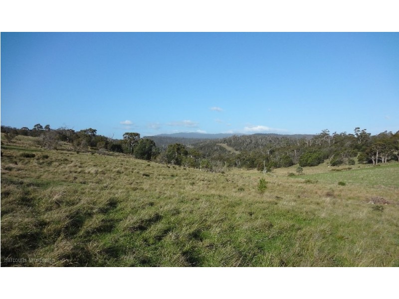 Lot 9/40496 Drivers Run, Tasman Highway, St Leonards TAS 7250