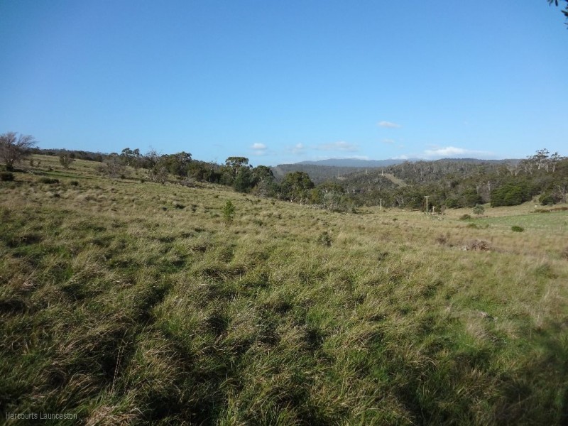 Lot 9/40496 Drivers Run, Tasman Highway, St Leonards TAS 7250