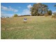 17 Eldonhurst Drive, Newstead TAS 7250