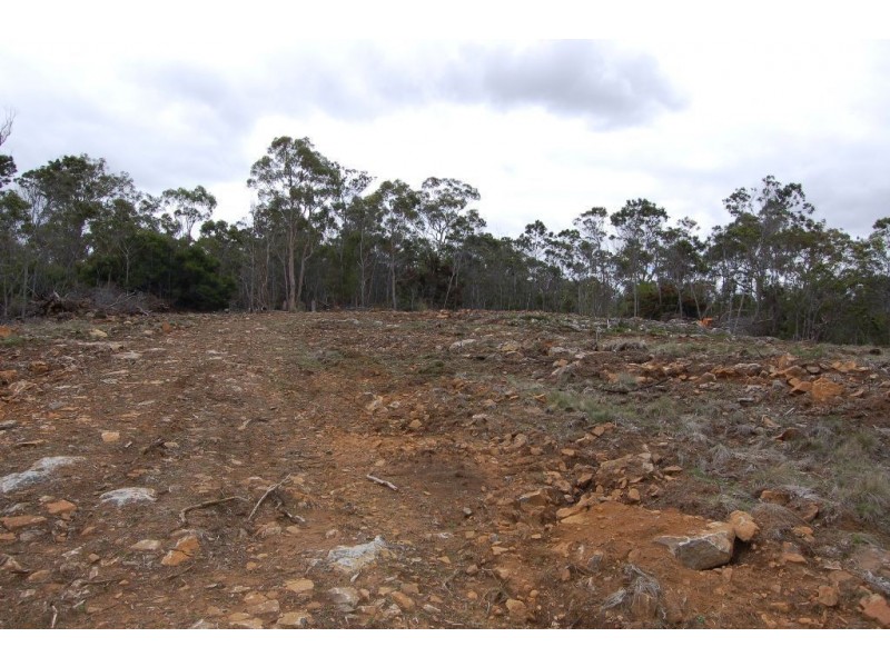 40106 Tasman Highway, St Leonards TAS 7250