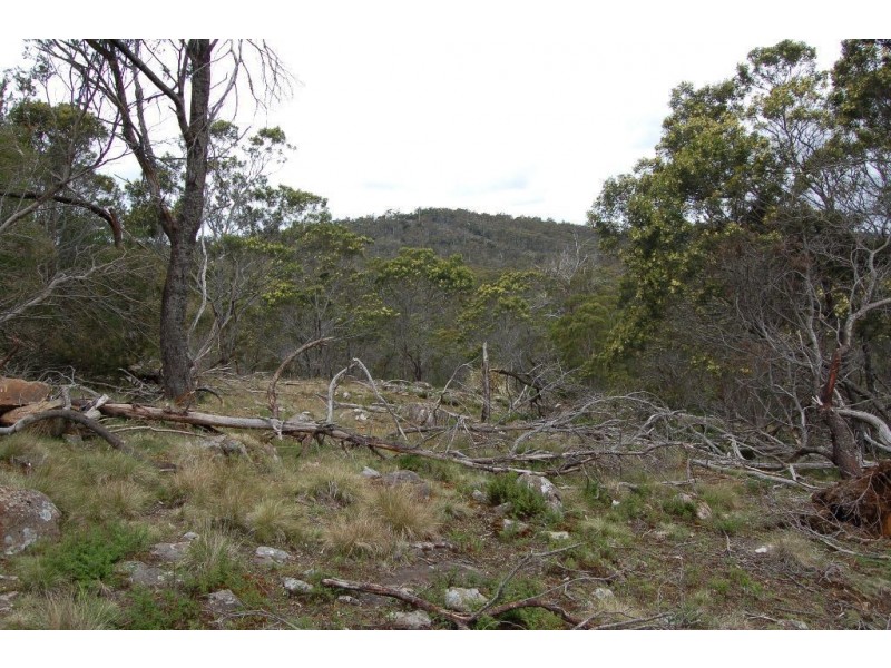 40106 Tasman Highway, St Leonards TAS 7250