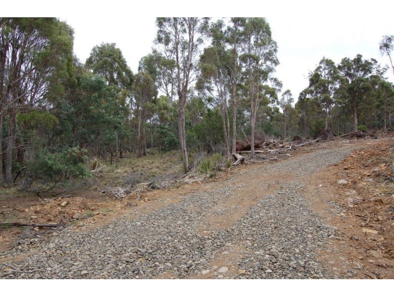 40106 Tasman Highway, St Leonards TAS 7250