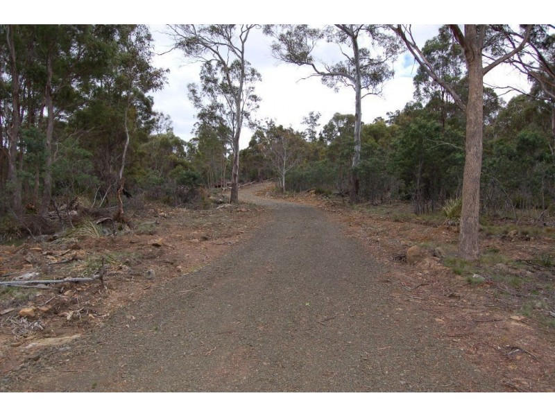 40106 Tasman Highway, St Leonards TAS 7250