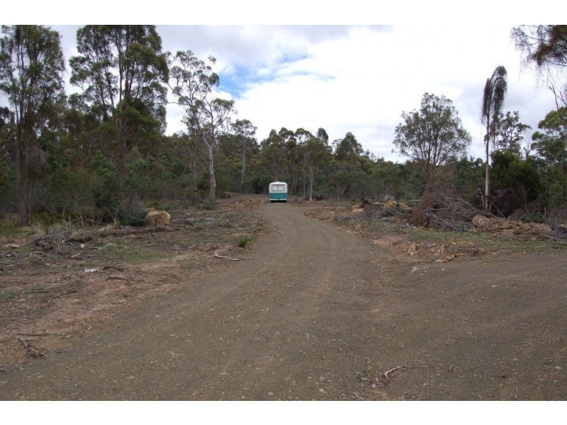 40106 Tasman Highway, St Leonards TAS 7250