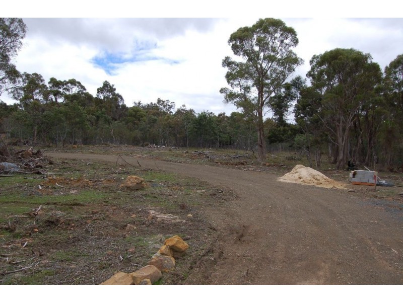 40106 Tasman Highway, St Leonards TAS 7250