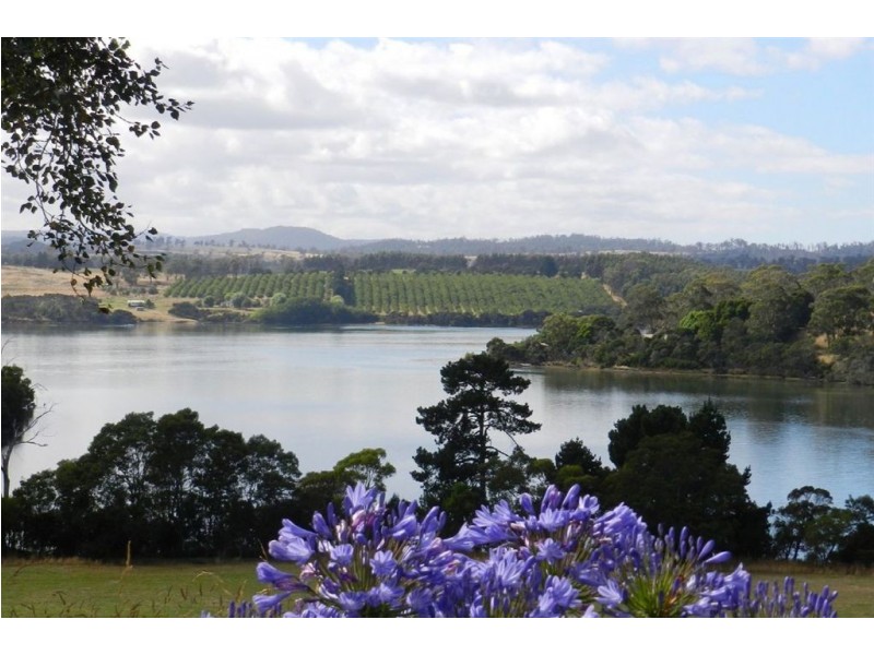 86 Clarks Road, Rowella TAS 7270
