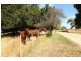 86 Clarks Road, Rowella TAS 7270