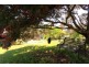 619 West Tamar Highway, Riverside TAS 7250