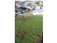5 Karla Place, South Launceston TAS 7249