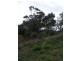 Lot 1 Tasman Highway, Waverley TAS 7250