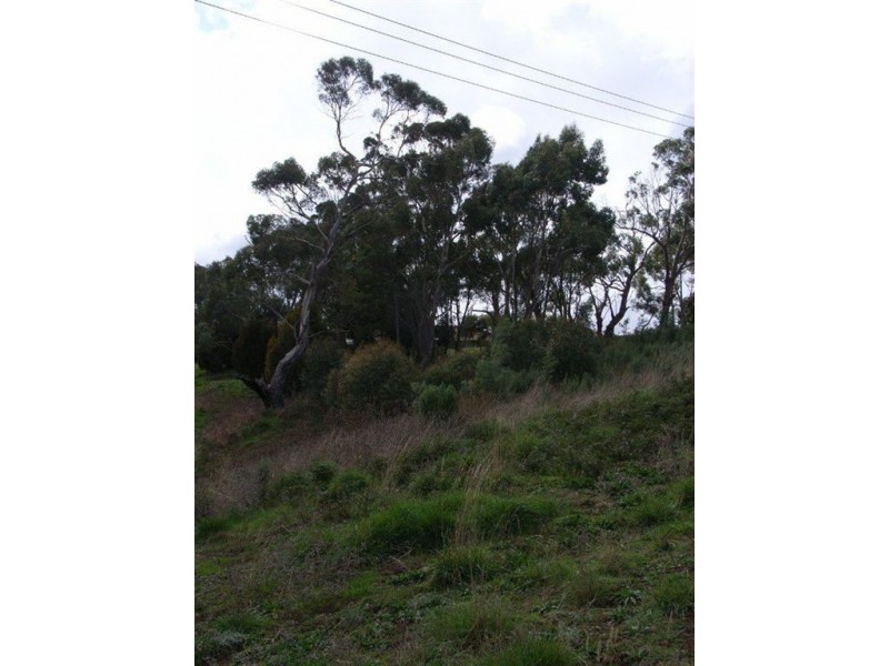 Lot 1 Tasman Highway, Waverley TAS 7250