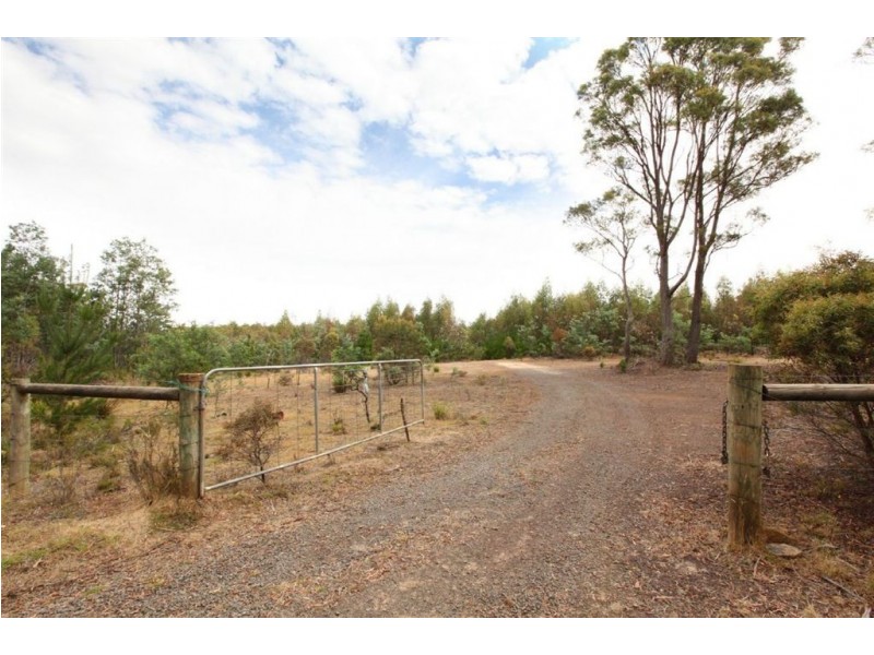 145 Shaws Road, Bridgenorth TAS 7277