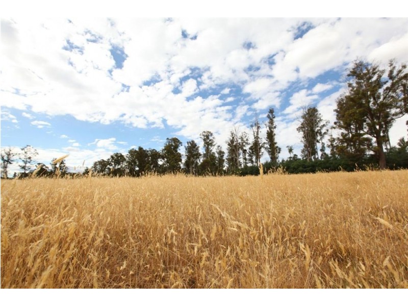 145 Shaws Road, Bridgenorth TAS 7277