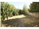 48 Balfour Street, Launceston TAS 7250