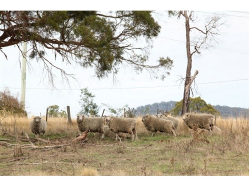 240 Osmaston Road, Westbury TAS 7303