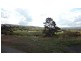 31 Queechy Road, Norwood TAS 7250