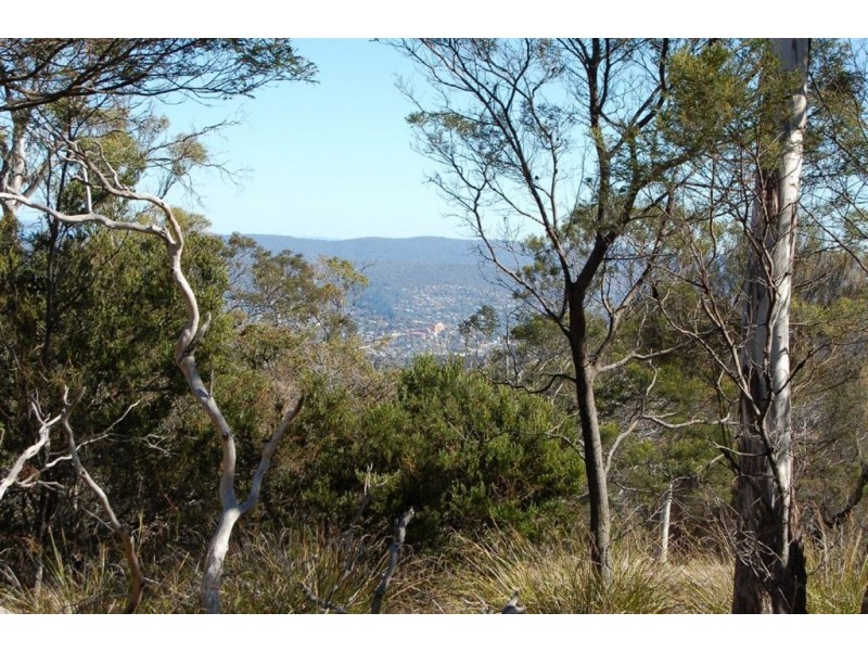 265 Boomer Road, St Leonards TAS 7250