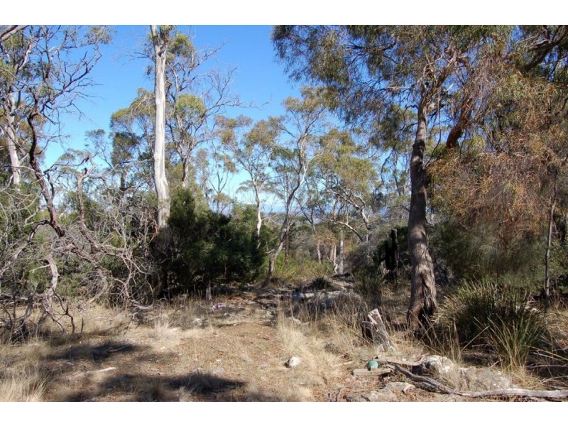 265 Boomer Road, St Leonards TAS 7250