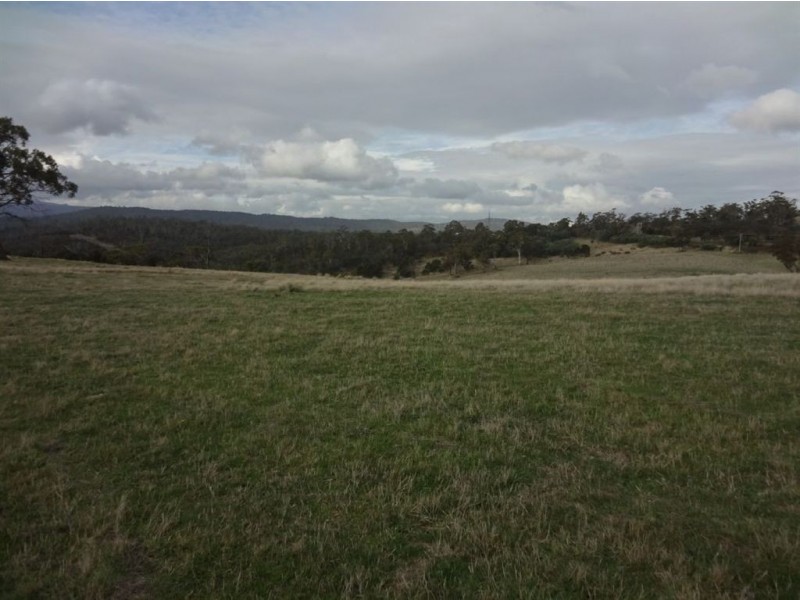Lot 10 Drivers Run, 40496 Tasman Highway, St Leonards TAS 7250