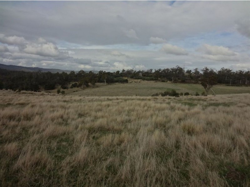 Lot 10 Drivers Run, 40496 Tasman Highway, St Leonards TAS 7250
