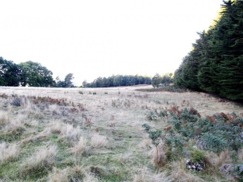 136 Myrtle Bank Road, Targa TAS 7259