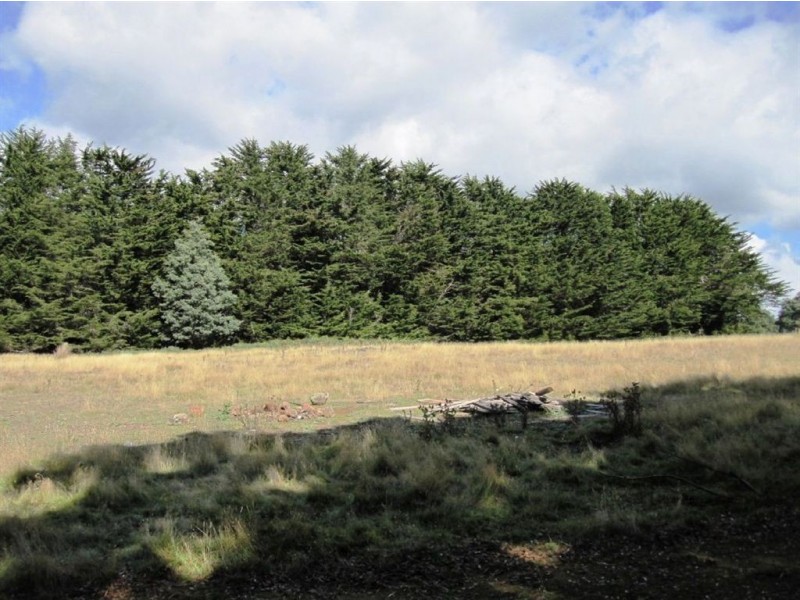 136 Myrtle Bank Road, Targa TAS 7259