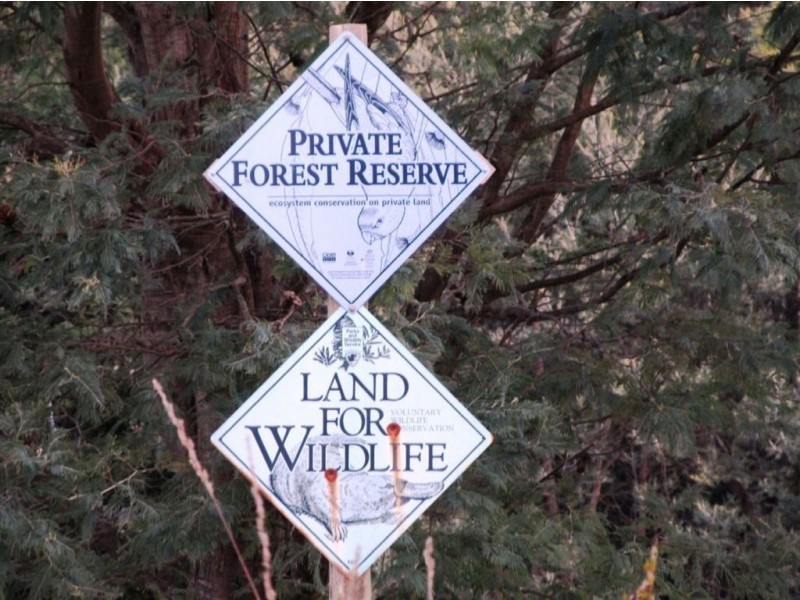 136 Myrtle Bank Road, Targa TAS 7259