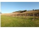 175 Glenwood Road, Relbia TAS 7258