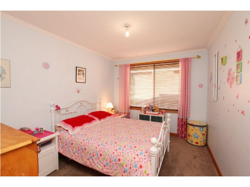 14 Chestnut Road, Youngtown TAS 7249