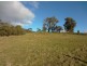 2043 East Tamar Highway, Windermere TAS 7252