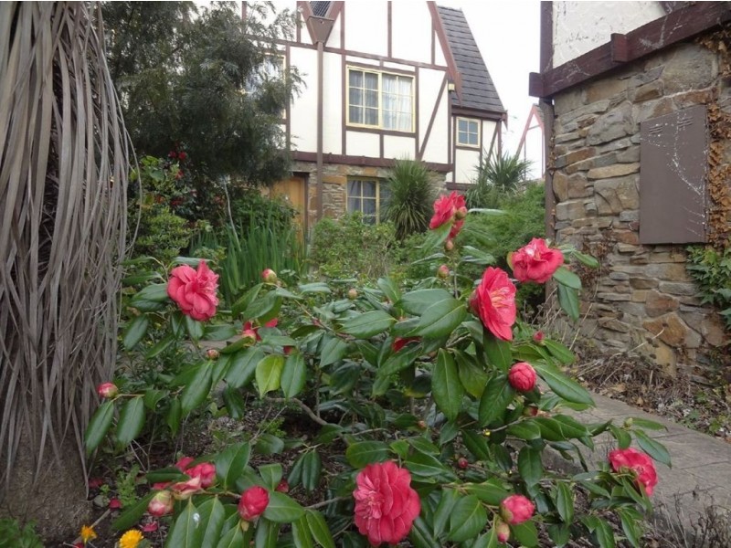 31/15 Alanvale Road, Newnham TAS 7248