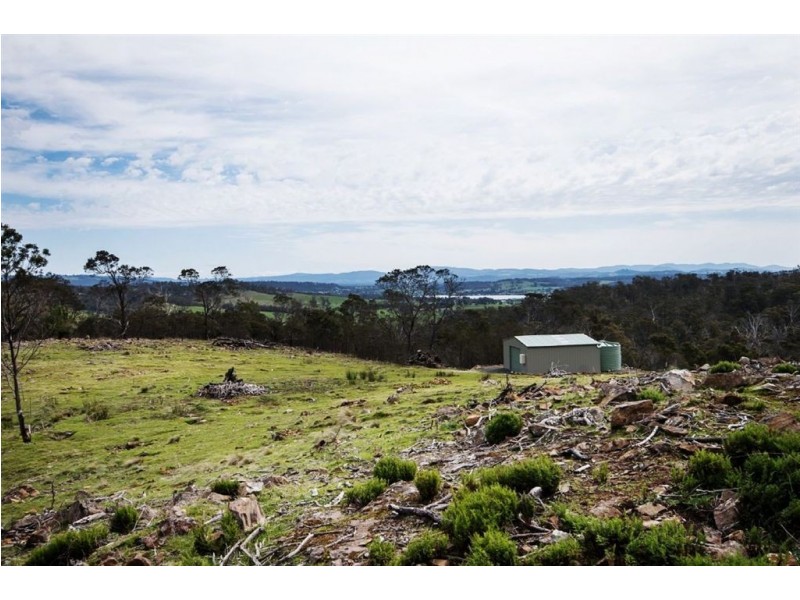 1907 East Tamar Highway, Dilston TAS 7252