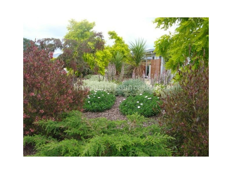 6 Maiden Street, Newnham TAS 7248