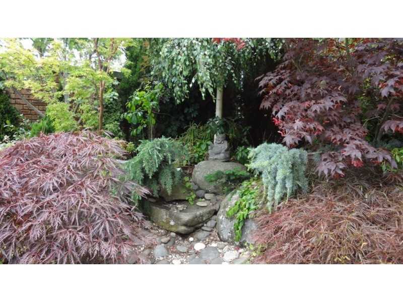 8 Leeds Lane, Prospect Vale TAS 7250