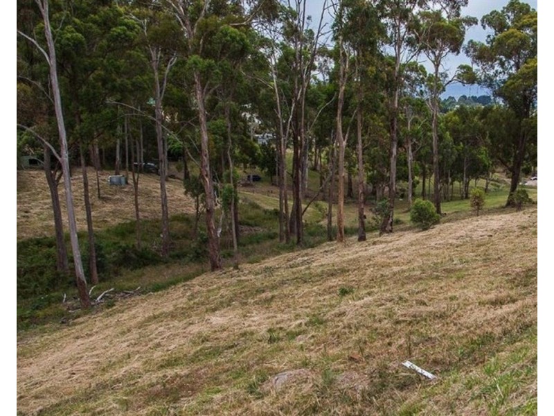 64 Ecclestone Road, Riverside TAS 7250