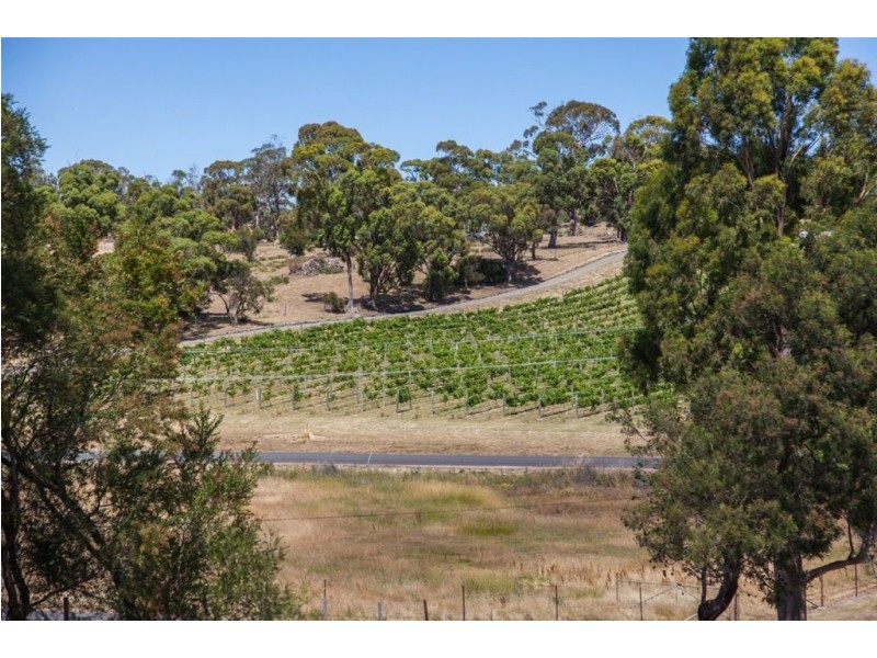 177 Relbia Road, Relbia TAS 7258