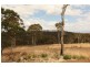 18 Heald Road, Travellers Rest TAS 7250