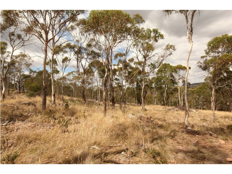 18 Heald Road, Travellers Rest TAS 7250